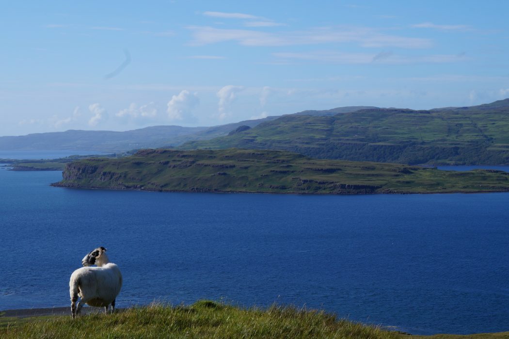 The Isle of Mull, Scotland: Wildly Beautiful and Completely Underrated of views from Isle of Mull View Ben More