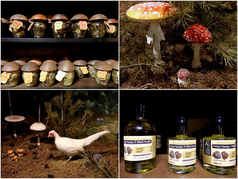 The mushroom museum in Kalambaka with various displays of mushroom related products in Meteora, Greece 