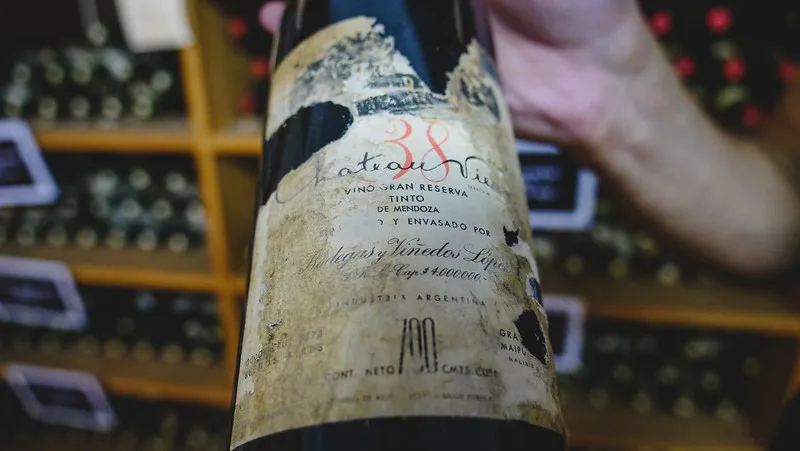 The oldest wine at Bodegas Lopez is a Chateau Vieux Gran Reserva from 1939 as gem in the cellar in Mendoza of Argentina