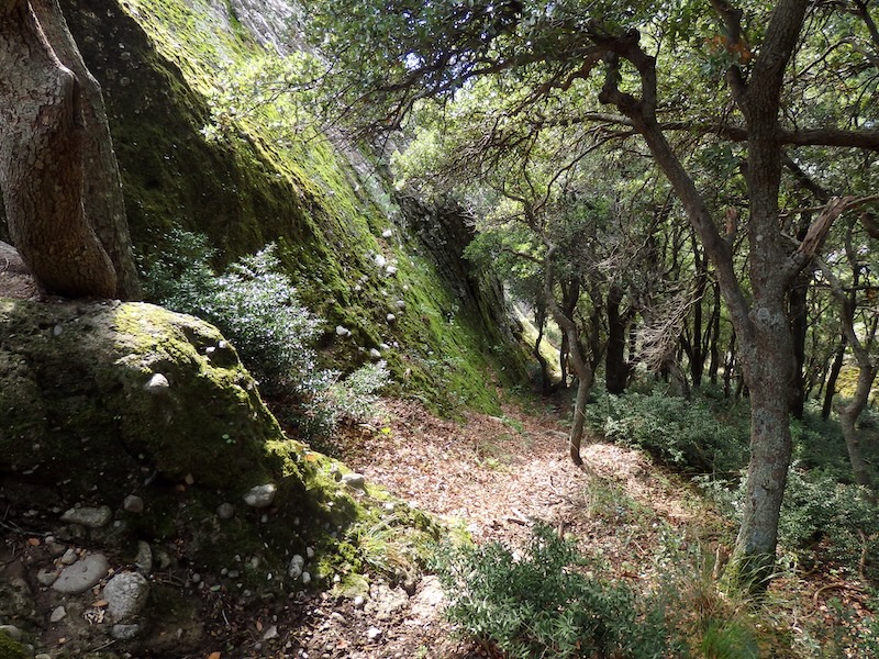 The rugged path on a trail in Meteora, Greece 