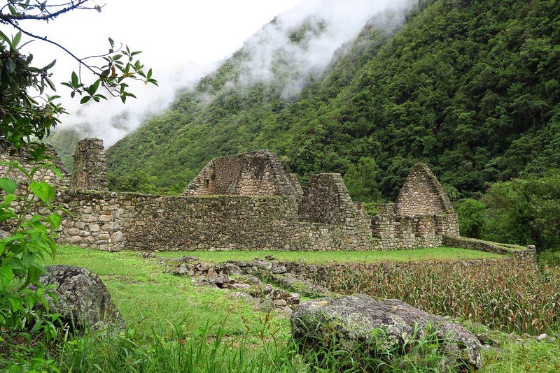The ruins of Chachabamba on the Inca Trail, Peru as framed by foliage and covered in clouds with lush greenery everywhere 