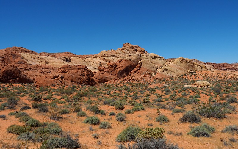 The scenery at Valley of Fire, Nevada with distinct landscapes unlike just about any other place we have visited The scenery at Valley of Fire, Nevada with distinct landscapes unlike just about any other place we have visited