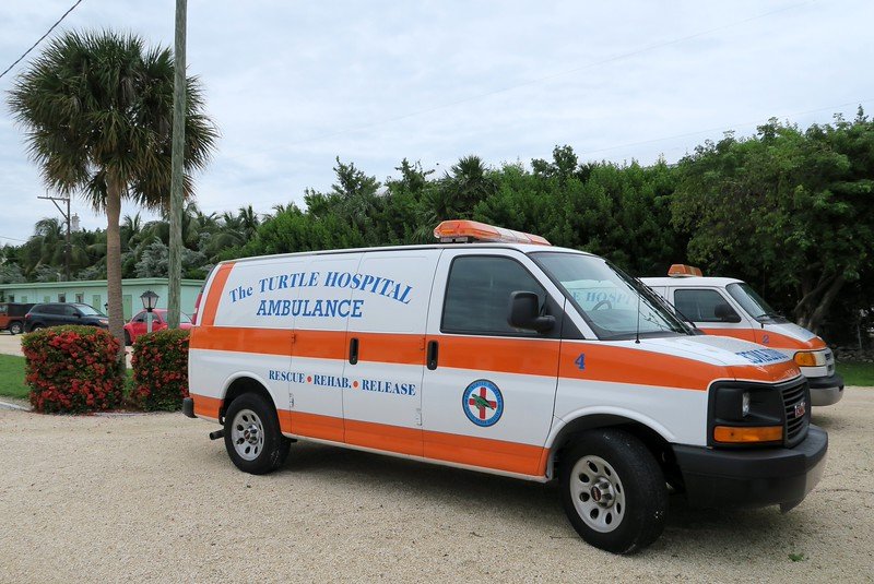 The sea turtle ambulance with its orange and white colors and slogan of rescue, rehab and release visiting the Florida Keys
