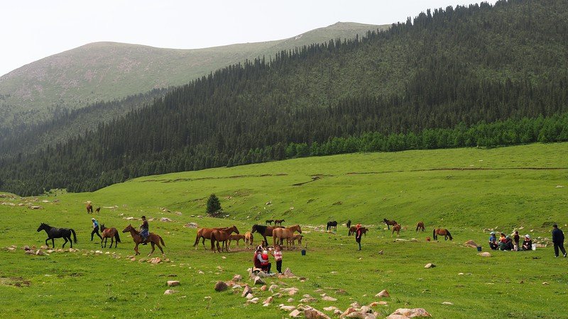 The Shatyly day trek from Bokonbayevo with mountains and forest in the background and horses and families in the foreground