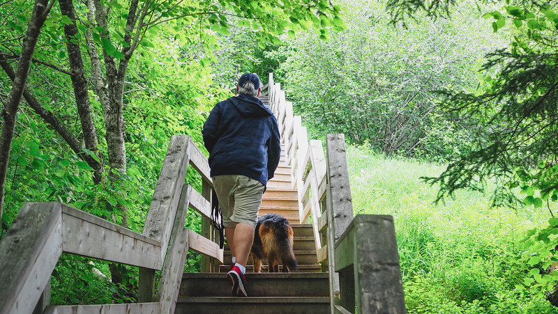 The steep stairs that lead to Herring Cove Beach in New Brunswick