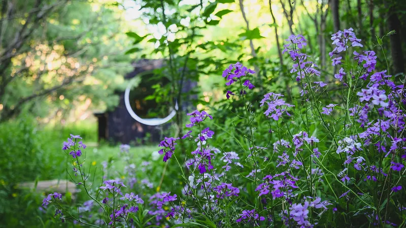 The tiny container home in Toronto looked out into the woods with beautiful wild flowers The tiny container home in Toronto looked out into the woods with beautiful wild flowers