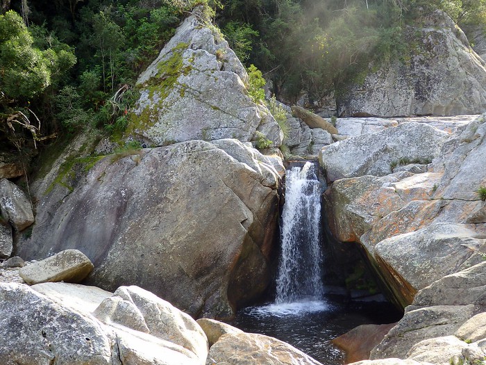 The waterfall at the end of the Giant Kingfisher Trail in Wilderness was a true highlight of our adventure in South Africa 