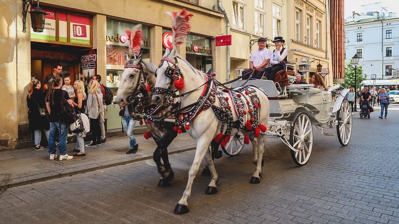 Things to do in Krakow, Poland on Your Weekend Visit! Horse carriage rides are very popular in Krakow. Things to do in Krakow, Poland on Your Weekend Visit! Horse carriage rides are very popular in Krakow.