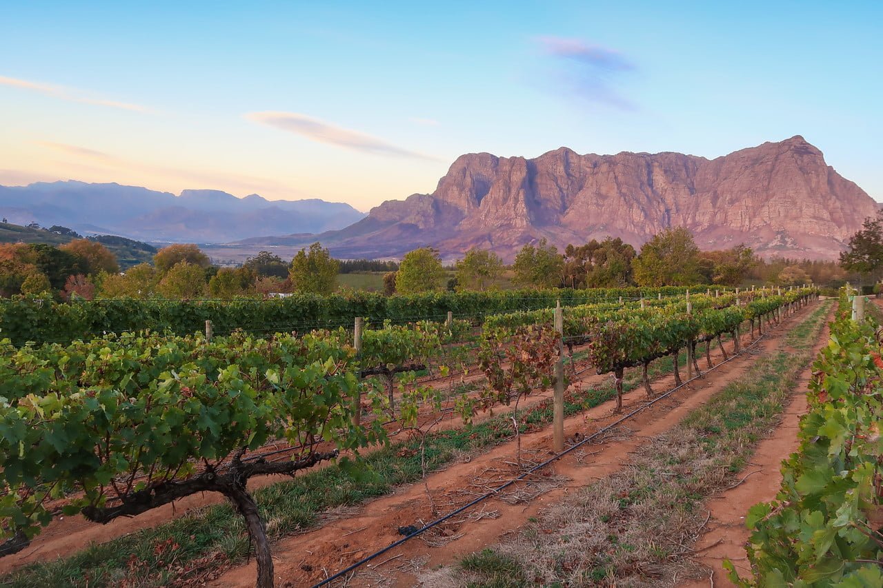 Things to Do, Eat & Experience in Stellenbosch Beyond the Wine!