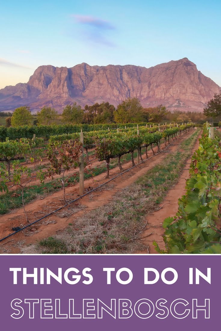 Things to do in Stellenbosch | South Africa Travel Guide 