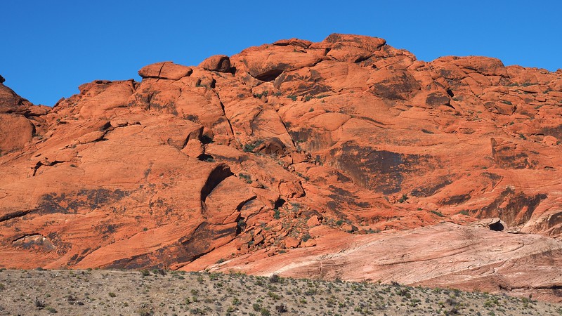 This is why Red Rock Canyon gets its name due to its distinct red hue in Nevada