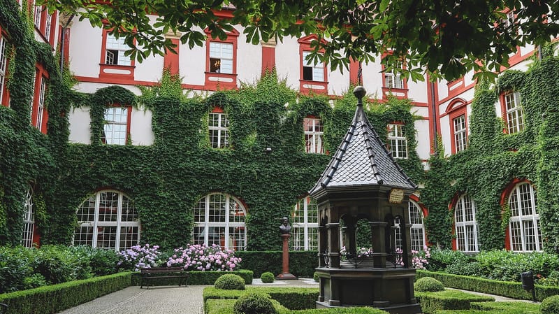 This wasn't on our list of things to do in Wroclaw but we're glad we found it by chance This wasn't on our list of things to do in Wroclaw but we're glad we found it by chance