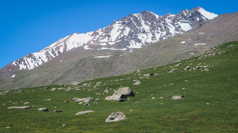 Snow-capped peaks of the Tian Shan Mountains rising above grassy alpine meadows dotted with rocks during a horse trek from Bokonbayevo on the 3-Day Panorama Trek in Kyrgyzstan