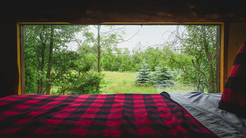 Scenic woodland views from the cosy bedroom loft of a tiny cabin in Glen Huron, Ontario, Canada, with a red and black checkered blanket in the foreground and lush green trees and meadow visible through a large picture window