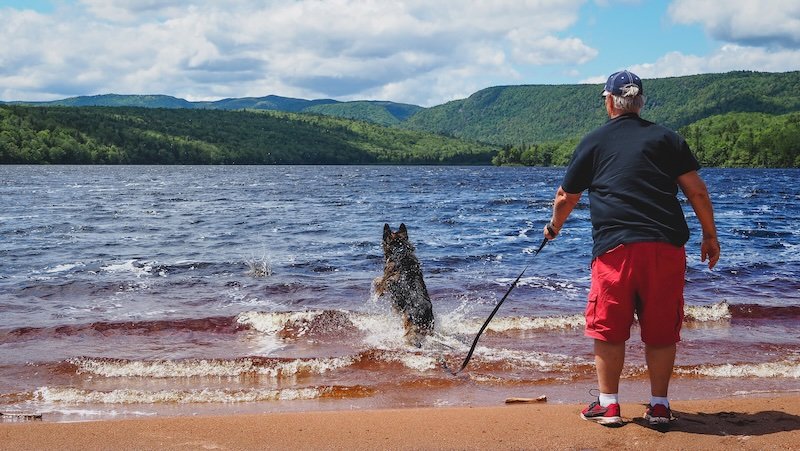 Audrey Bergner’s father Daniel from That Backpacker plays fetch with German Shepherd Togo, who splashes joyfully into the lake against a backdrop of forested hills and blue skies in Cape Breton Highlands National Park along the scenic Cabot Trail in Nova Scotia