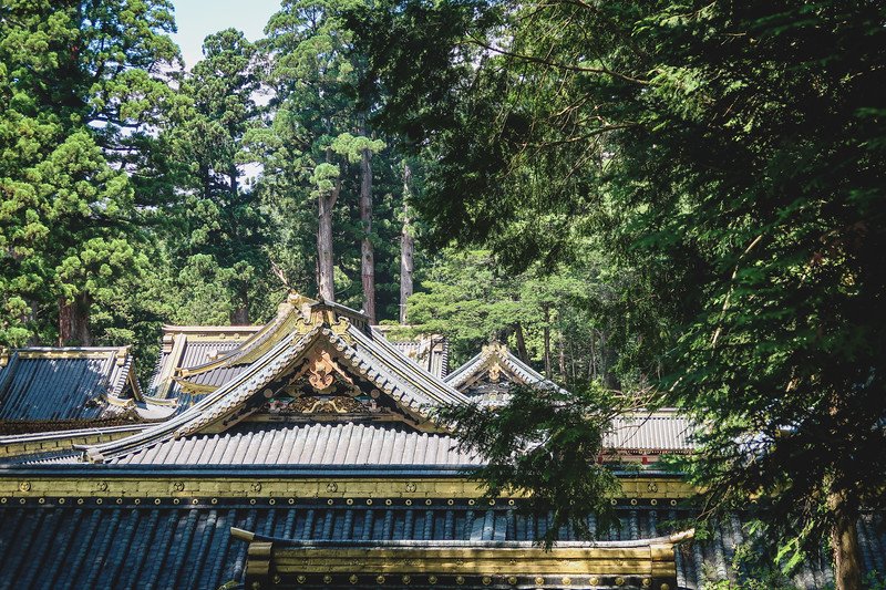 Ornate gold-trimmed temple rooftops of Toshogu Shrine nestled among towering ancient cedar trees in Nikko, Japan, part of the UNESCO World Heritage–listed shrines and temples complex