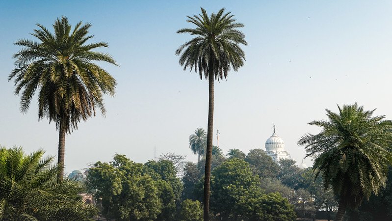 Touring the grounds of Humayun's Tomb with lush greenery and tall trees aplenty in Delhi, India