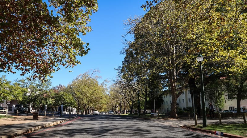 Touring through Stellenbosch by sidecar driving through the town surrounded by beautiful trees in South Africa 