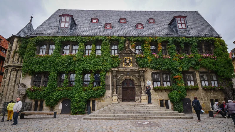 Town hall covered in ivy as a distinct landmark in Quedlinburg, Germany Town hall covered in ivy as a distinct landmark in Quedlinburg, Germany