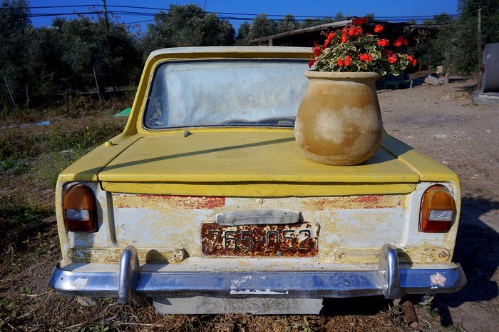 Transportation in Israel with this old car and flowerpot on top 