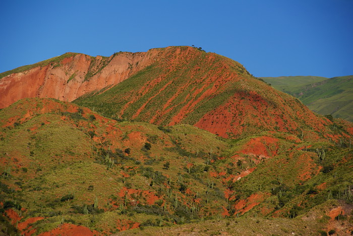 Traveling in Northern Argentina, where the earth really is this colour including orange and red hues with a bit of greenery mixed in for good measure!