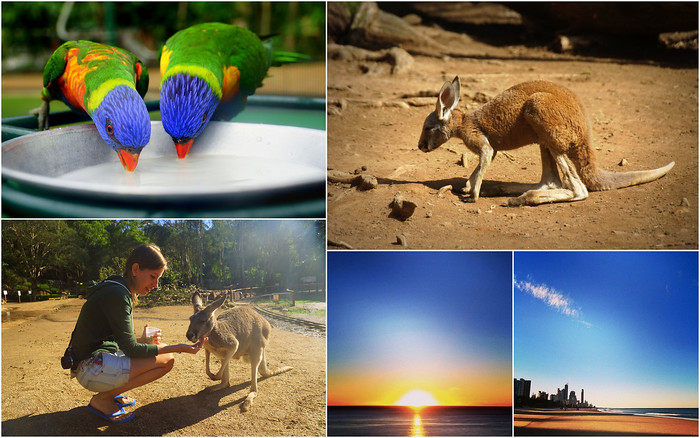Travelling in Queensland, Australia with beautiful natural scenery and plenty of wildlife including kangaroo encounters 
