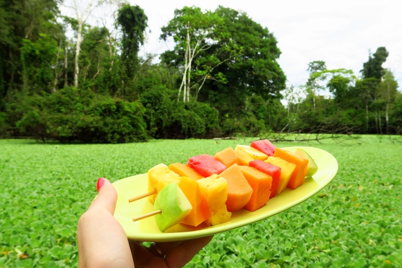 Tropical fruit platter on display during our Amazon cruise Tropical fruit platter on display during our Amazon cruise