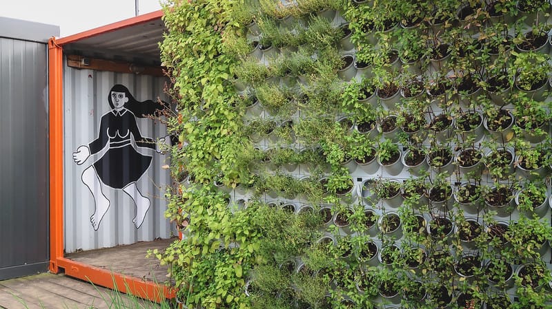 Urban gardening at KontenerART with plants on display and artwork to match it in Poznan, Poland Urban gardening at KontenerART with plants on display and artwork to match it in Poznan, Poland