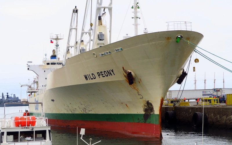 Cargo ship ‘Wild Peony’ docked at the busy port of Valparaíso, Chile, highlighting the city’s maritime heritage