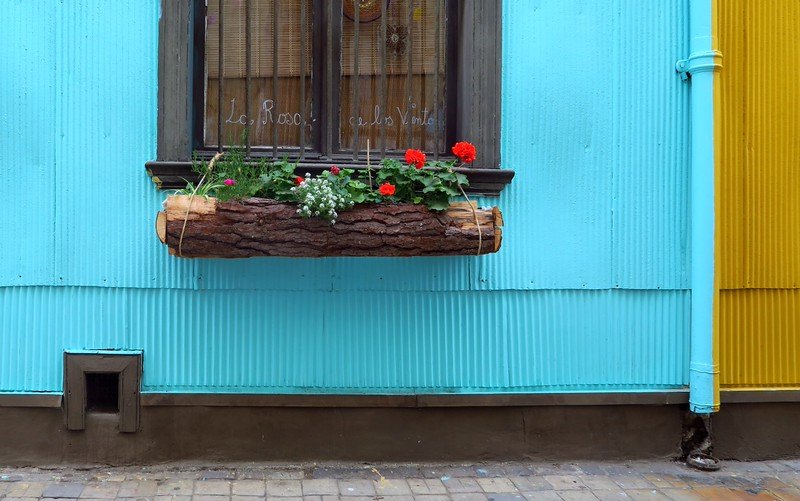 Vibrant turquoise and yellow walls in Valparaíso, Chile, with a rustic wooden flower box filled with red and white blossoms, reflecting the city’s artistic bohemian charm and colorful street details