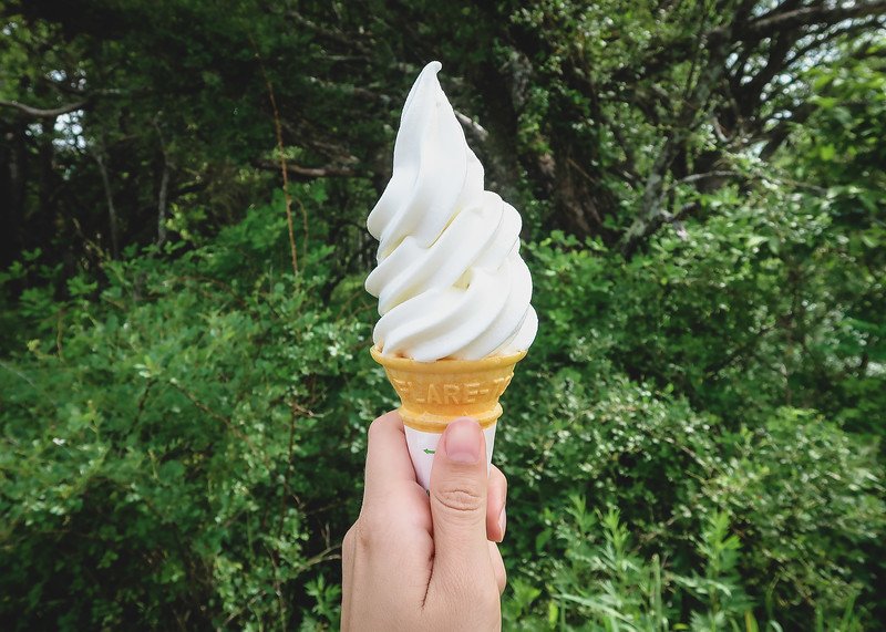 Hand holding a creamy swirl of vanilla soft serve ice cream in a crisp cone, enjoyed outdoors at Sanbonmatsu in Nikko, Japan, with lush green forest in the background
