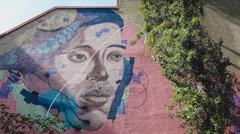 Colourful street art mural in Vienna depicting a detailed portrait of a contemplative face on a pink wall, surrounded by abstract geometric shapes and leafy vines climbing up the building Colourful street art mural in Vienna depicting a detailed portrait of a contemplative face on a pink wall, surrounded by abstract geometric shapes and leafy vines climbing up the building