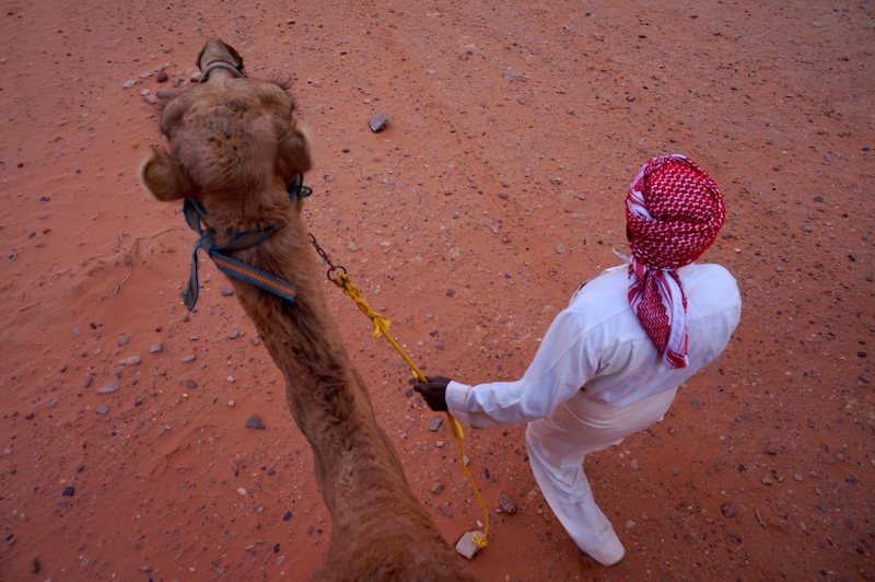 View looking down riding a camel in Wadi Rum desert of Jordan View looking down riding a camel in Wadi Rum desert of Jordan