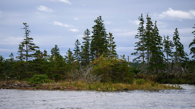 Views from our sailing Tour of St. Peters Canal rugged views of the coastline lined with trees on Cape Breton, Nova Scotia