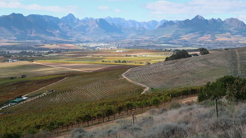 Views of Jordan Wines on our wine safari including vast fields and a mountain range backdrop in Stellenbosch, South Africa