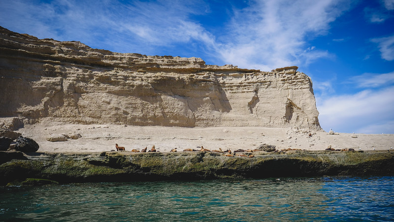 Views of the coast in Peninsula Valdes showcasing stunning natural beauty at its finest in Patagonia, Argentina