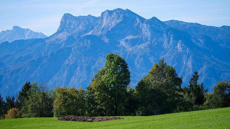 Views of the Salzkammergut Mountains in Austria with trees in the foreground 