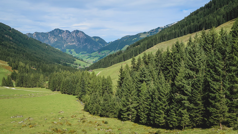 Views of valleys in Tirol with dense forest and rugged mountains in the background
