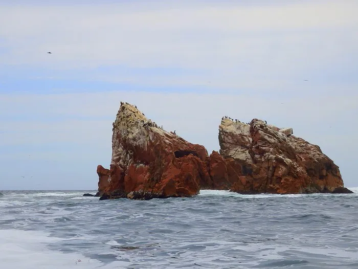 Visit Islas Ballestas, Peru: Sea lions, penguins and pelicans, oh my!
