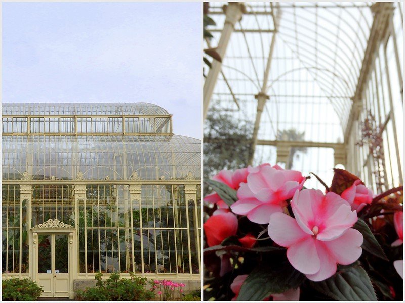 Visiting the Botanic Gardens in Dublin, Ireland to enjoy greenhouse strolling and pink flowers 