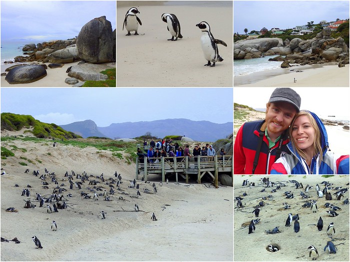 Visiting Boulders Beach, Cape Town, South Africa showcasing landscapes, penguins and Samuel and Audrey having fun