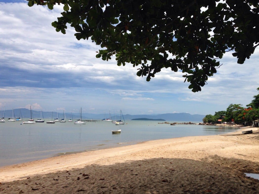 Visiting Florianópolis, Brazil with views of sailboats out on the water with a bit of shade under a tree