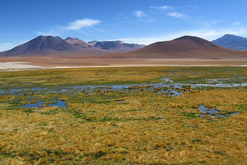 Visiting the Atacama desert in Chile with its other-worldly landscapes featuring lagoons and impressive mountain backdrop 
