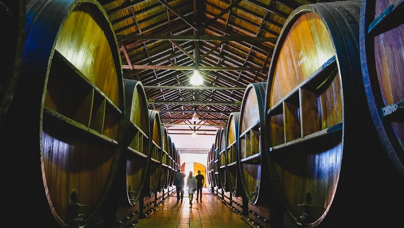 Visiting the giant French oak barrels where wine is aged at Bodegas Lopez in Mendoza that can store 12000 litres of wine