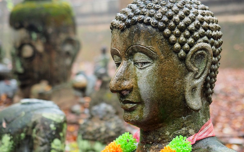 Visiting Wat Umong in Chiang Mai and noticing the macro details around the temple grounds in Thailand 