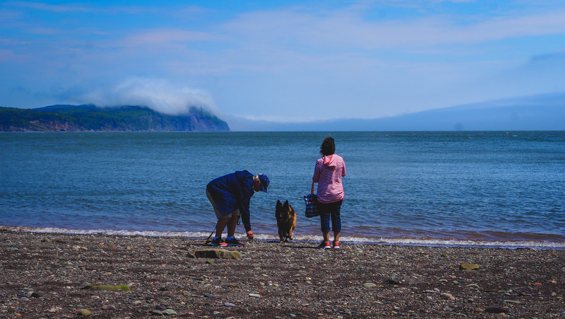 Walking along the beach in Herring Cove in Fundy National Park throwing rocks for the dog Togo