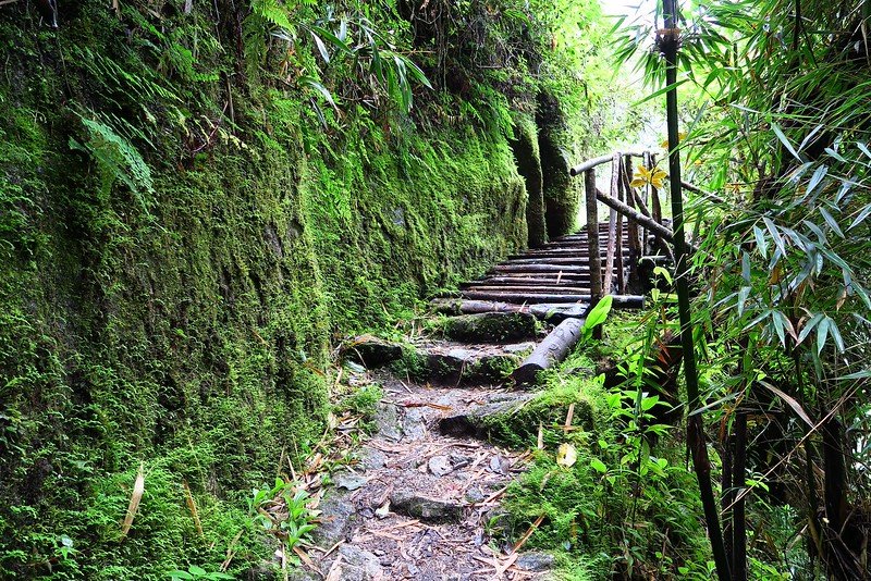 Walking the 2-day Inca Trail the path along the trail is well defined but also adventurous teaming with nature 