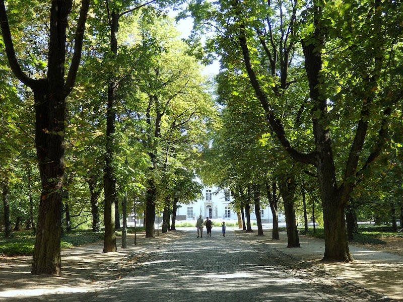 Warsaw green spaces and parks to escape the bustle and hustle of the city in Poland 