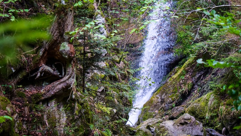 Waterfall forest views on the Black Forest hiking trails Waterfall forest views on the Black Forest hiking trails