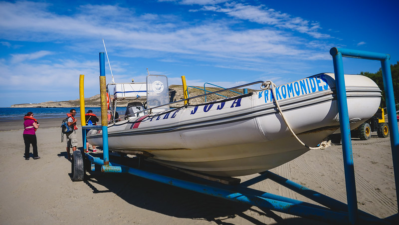 We rode a zodiak style boat to see sea lions on our tour in Peninsula Valdes, Argentina 